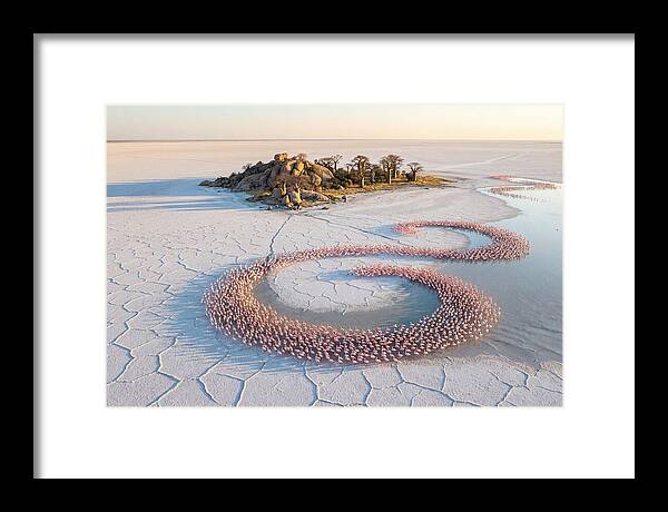 Makgadikgadi Pans Serenity