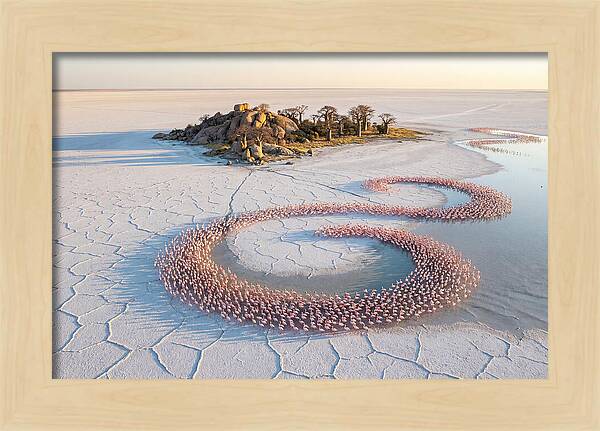 Makgadikgadi Pans Serenity