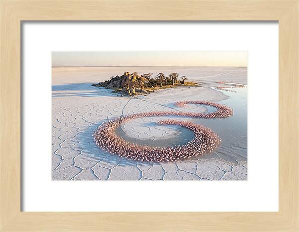 Makgadikgadi Pans Serenity