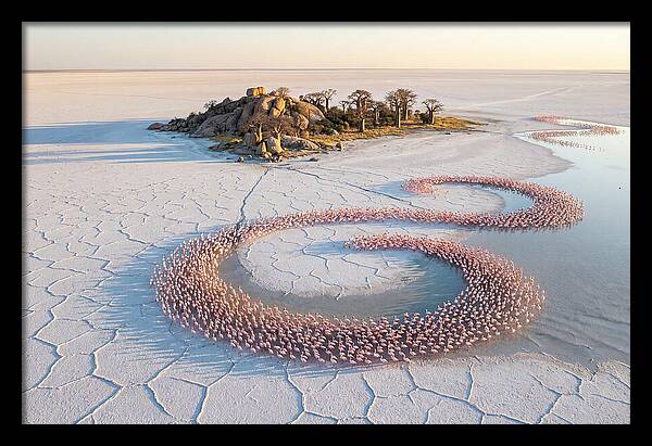 Makgadikgadi Pans Serenity