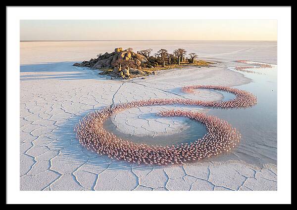 Makgadikgadi Pans Serenity