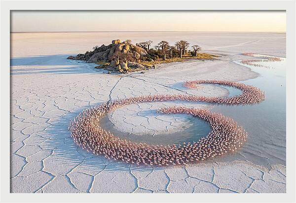 Makgadikgadi Pans Serenity
