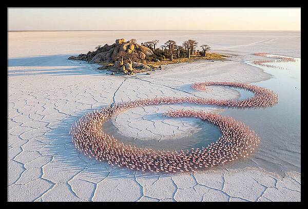 Makgadikgadi Pans Serenity