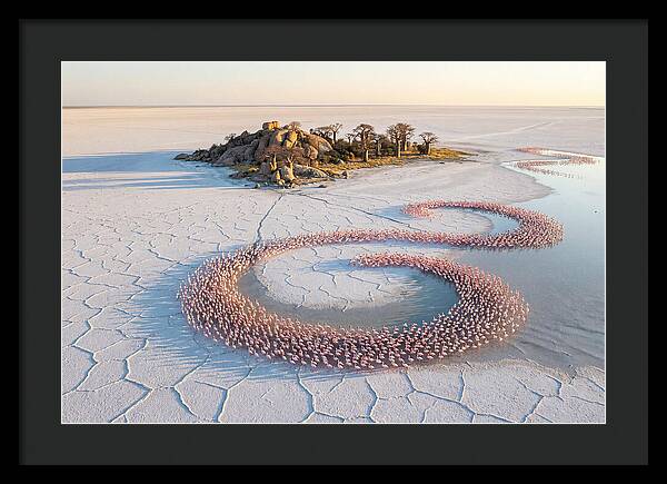 Makgadikgadi Pans Serenity