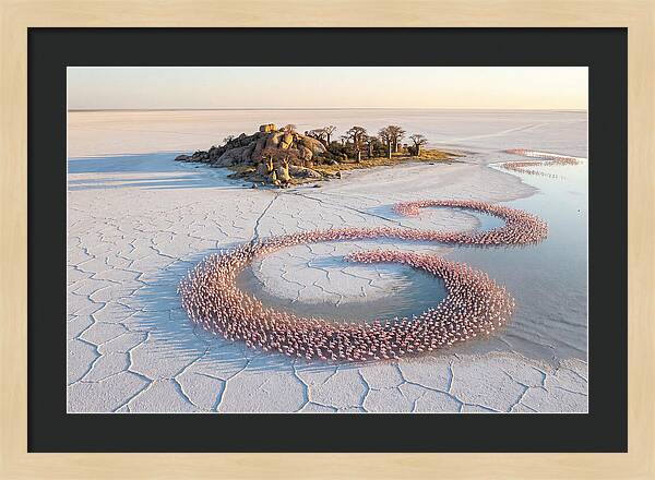 Makgadikgadi Pans Serenity