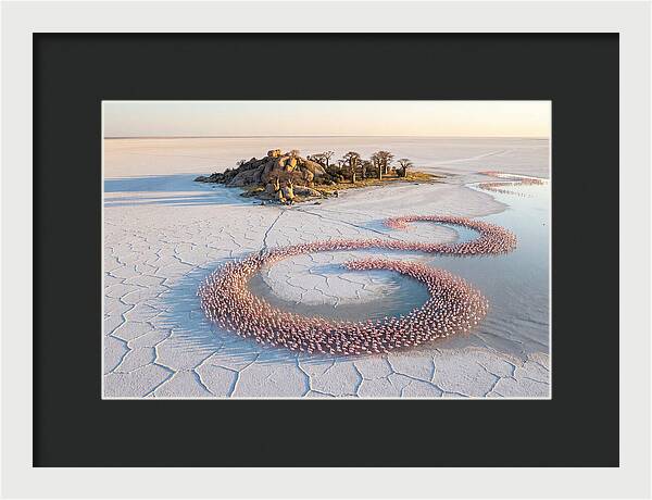 Makgadikgadi Pans Serenity