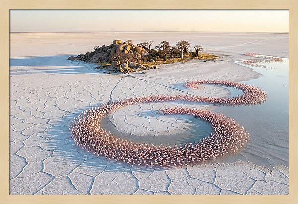 Makgadikgadi Pans Serenity