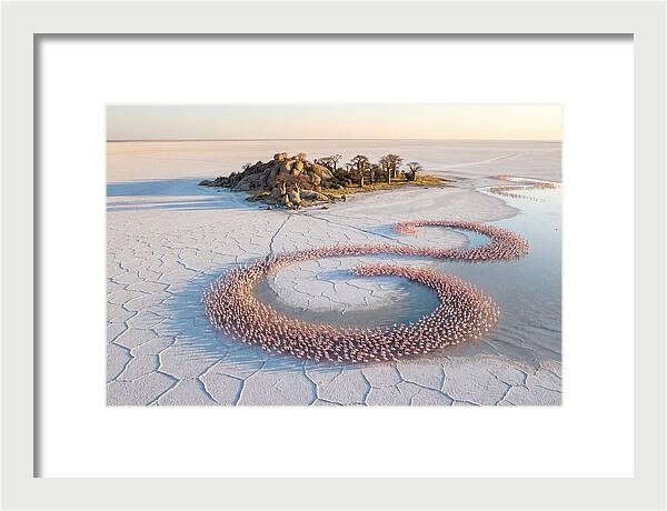 Makgadikgadi Pans Serenity