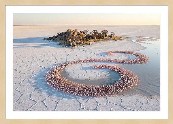 Makgadikgadi Pans Serenity