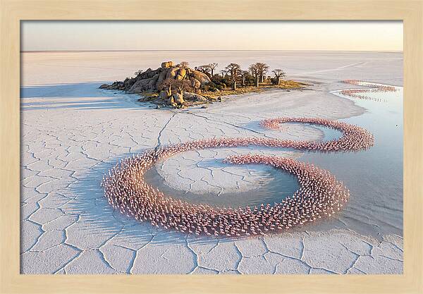 Makgadikgadi Pans Serenity