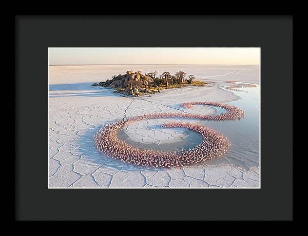 Makgadikgadi Pans Serenity