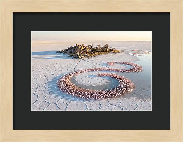 Makgadikgadi Pans Serenity