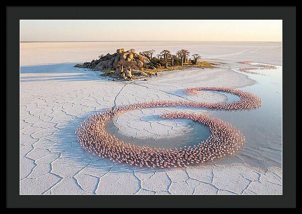 Makgadikgadi Pans Serenity