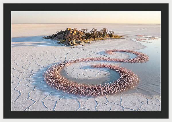 Makgadikgadi Pans Serenity