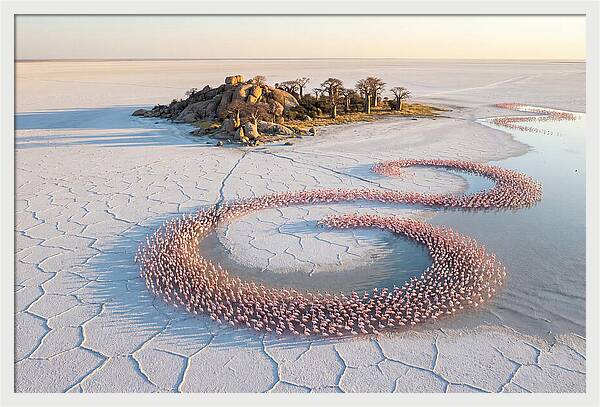 Makgadikgadi Pans Serenity