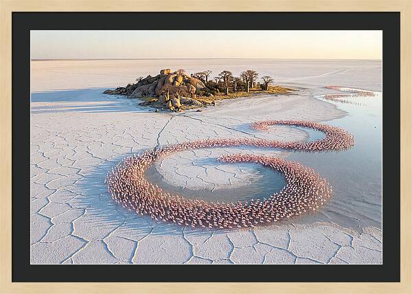 Makgadikgadi Pans Serenity