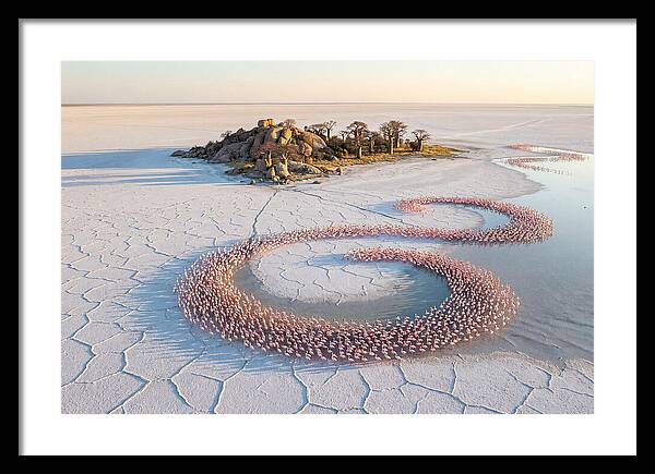 Makgadikgadi Pans Serenity