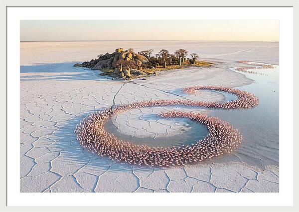 Makgadikgadi Pans Serenity