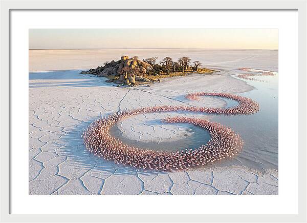 Makgadikgadi Pans Serenity