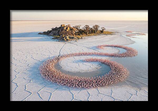 Makgadikgadi Pans Serenity