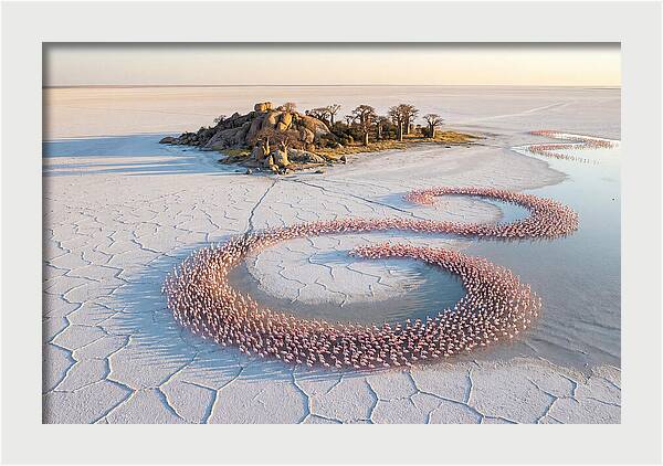Makgadikgadi Pans Serenity