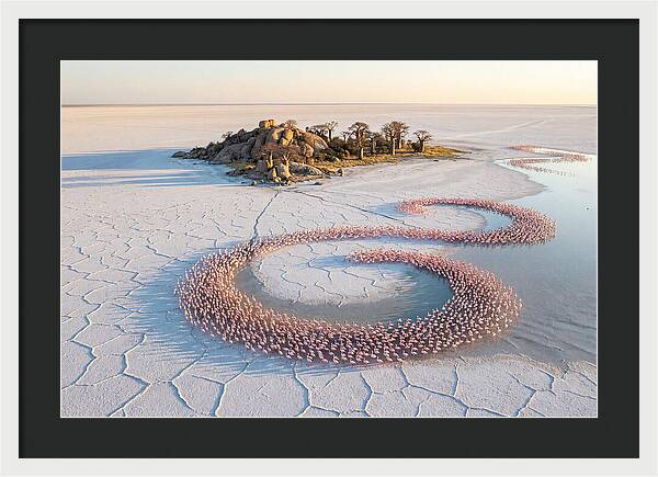 Makgadikgadi Pans Serenity