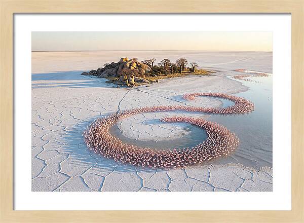 Makgadikgadi Pans Serenity