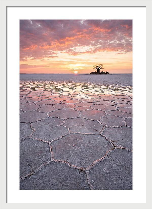 Makgadikgadi Salt Pans Sunset