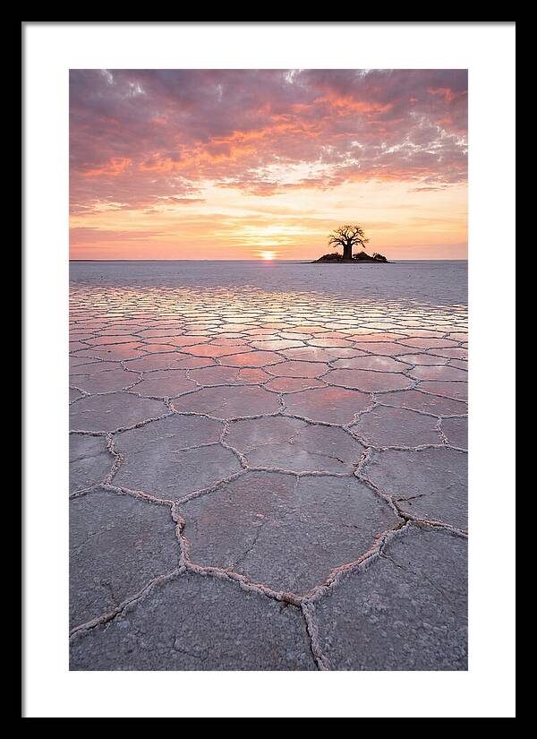 Makgadikgadi Salt Pans Sunset