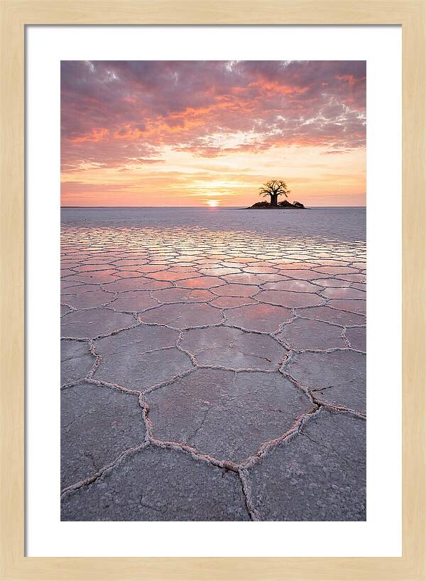 Makgadikgadi Salt Pans Sunset