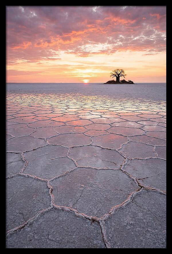 Makgadikgadi Salt Pans Sunset