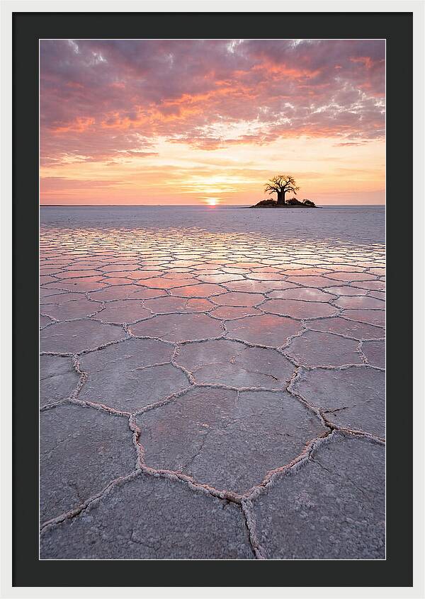 Makgadikgadi Salt Pans Sunset