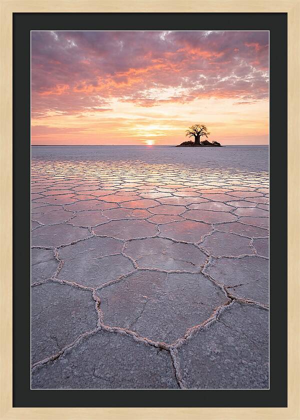Makgadikgadi Salt Pans Sunset