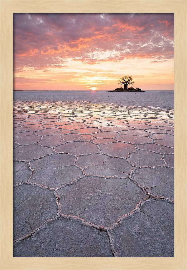 Makgadikgadi Salt Pans Sunset