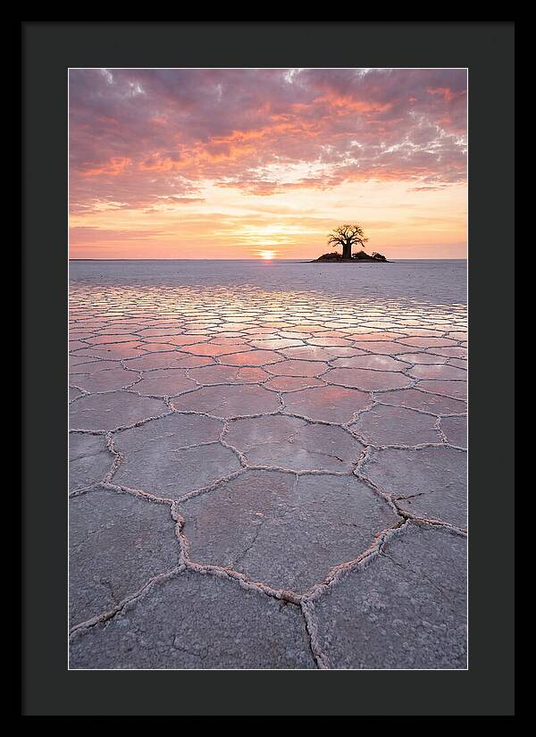 Makgadikgadi Salt Pans Sunset
