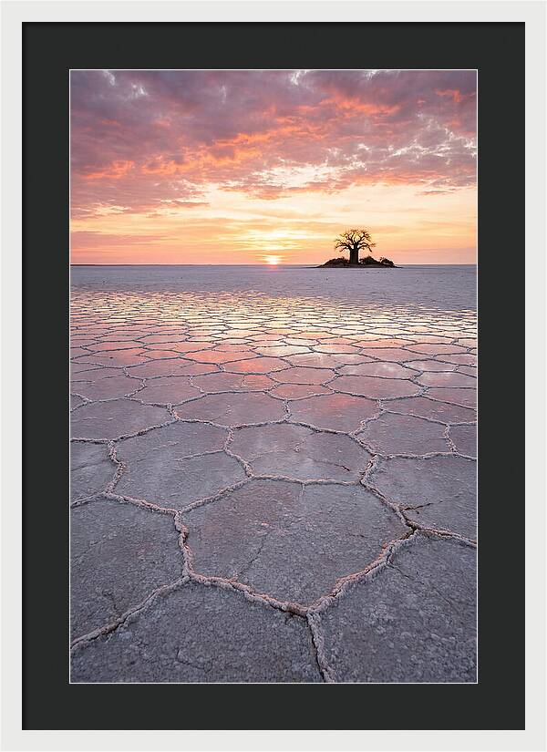 Makgadikgadi Salt Pans Sunset