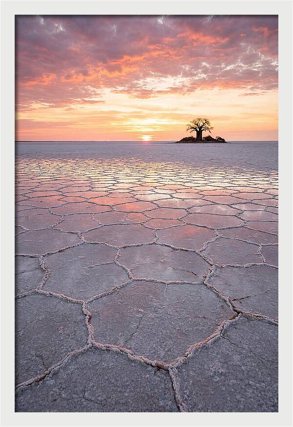 Makgadikgadi Salt Pans Sunset