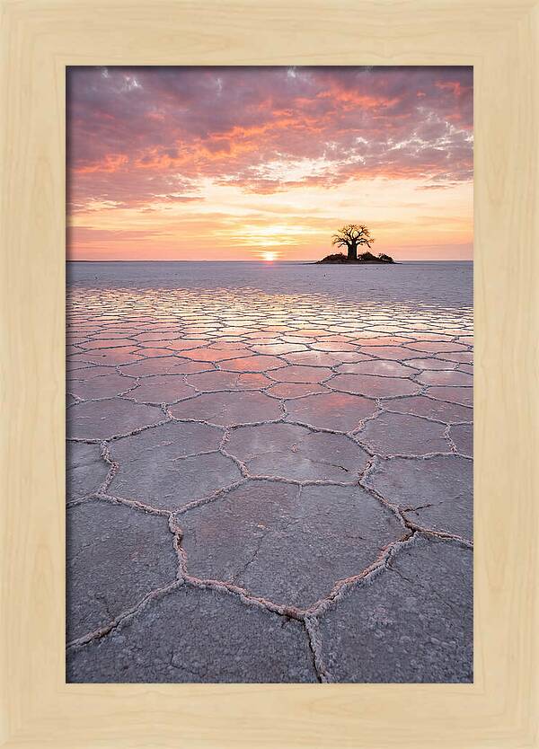 Makgadikgadi Salt Pans Sunset