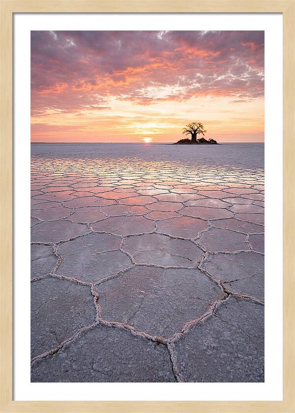 Makgadikgadi Salt Pans Sunset