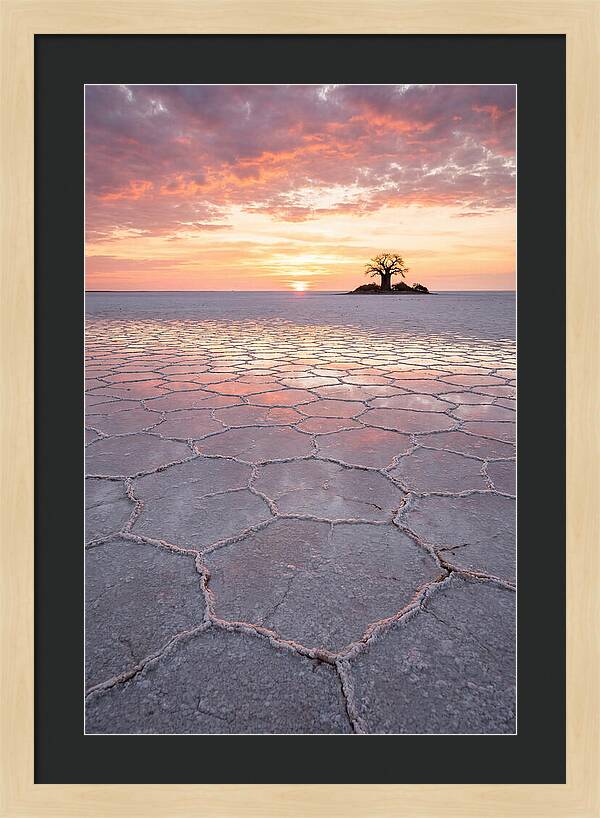 Makgadikgadi Salt Pans Sunset