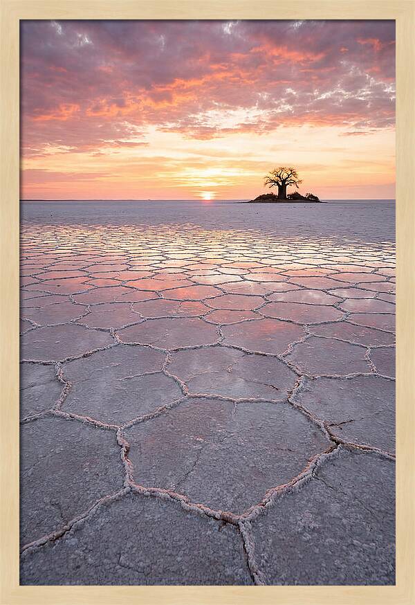 Makgadikgadi Salt Pans Sunset