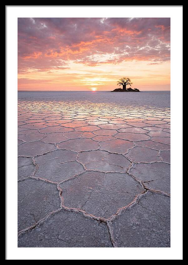 Makgadikgadi Salt Pans Sunset
