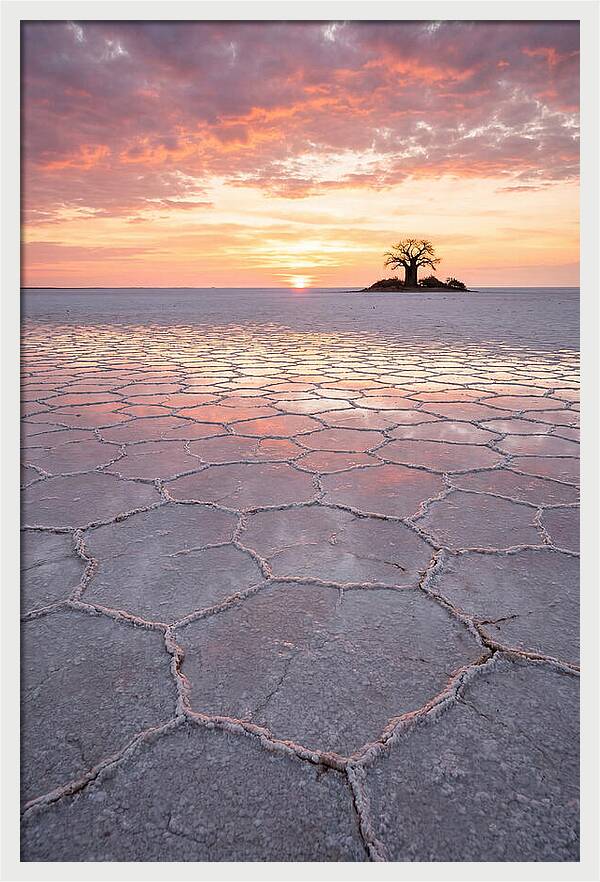 Makgadikgadi Salt Pans Sunset