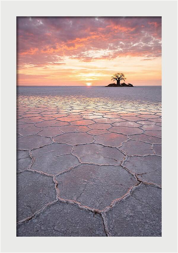 Makgadikgadi Salt Pans Sunset