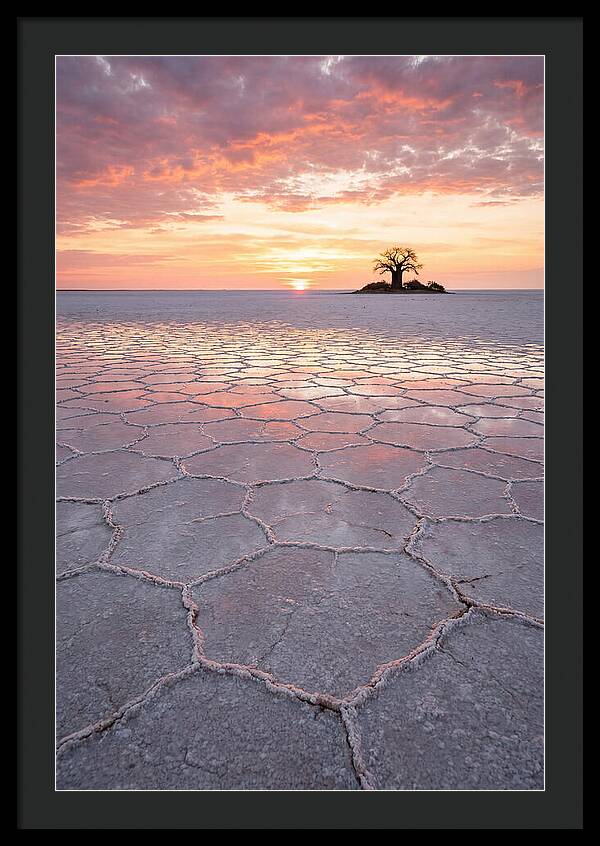 Makgadikgadi Salt Pans Sunset