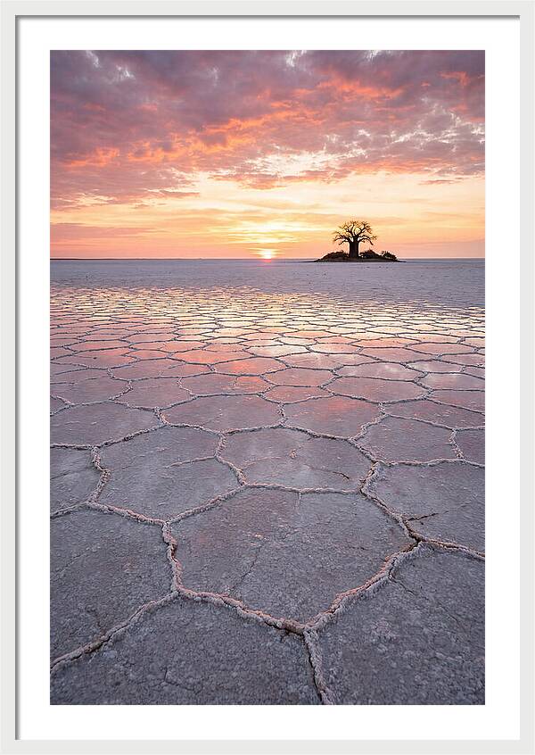 Makgadikgadi Salt Pans Sunset