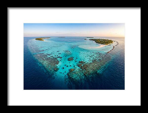 Maldivian Coral Reef Serenity