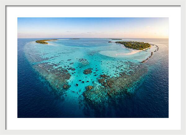 Maldivian Coral Reef Serenity