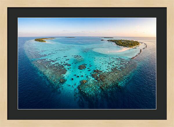 Maldivian Coral Reef Serenity