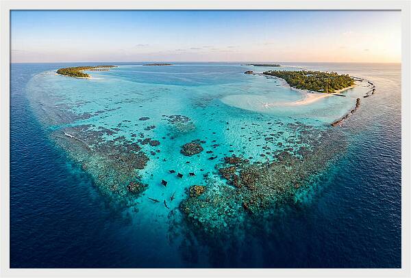 Maldivian Coral Reef Serenity